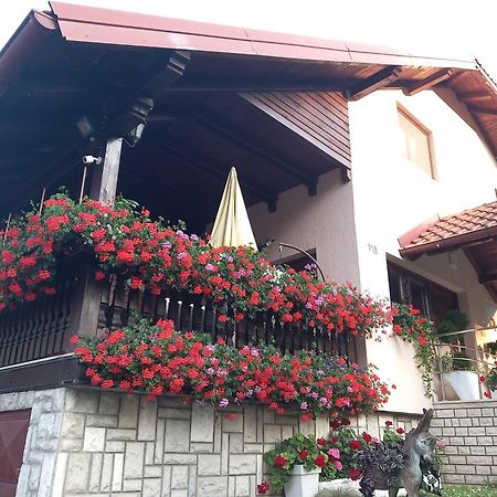 Apartment Vihor زلاتيبور المظهر الخارجي الصورة